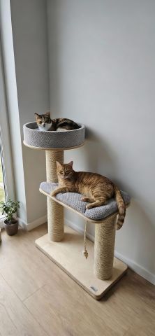 Drapak  2602 45cm 120cm