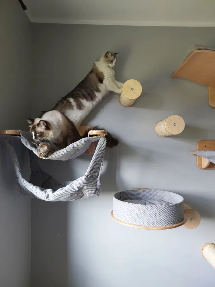 Słupek Ścienny "Wall Step 25cm – Stopień Sizalowy NR22 - obrazek 4