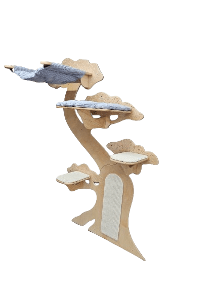 Drzewko 13 bonsai c slim - obrazek 5