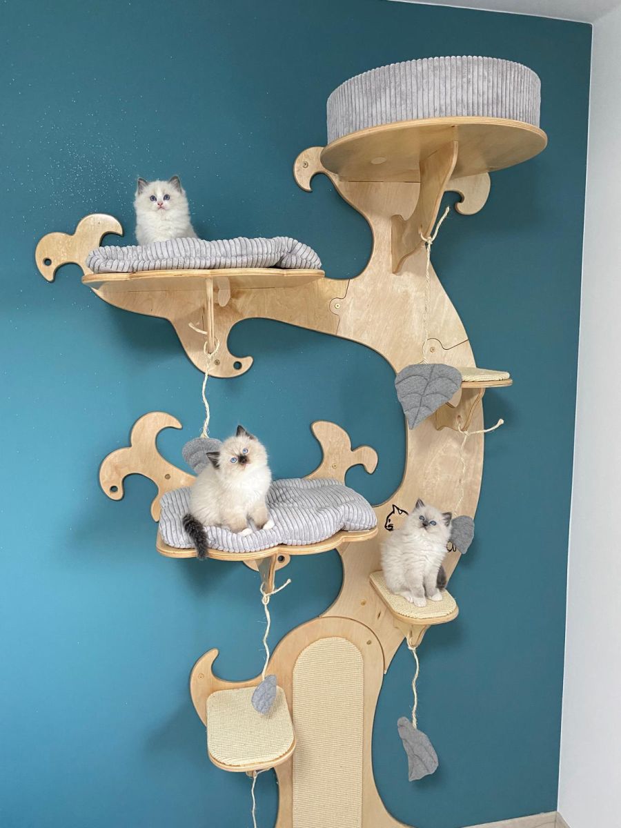 Drzewko 12/9 - obrazek 5