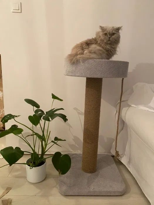 Drapak 95 cm – Długi Słup i Rozeta z Pełnym Rantem NR33 - obrazek 2