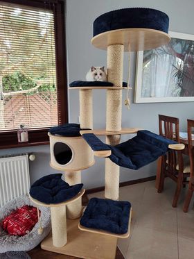 Drapak Wolnostojący 178 cm – Mega Palace NR1911B1 - obrazek 3