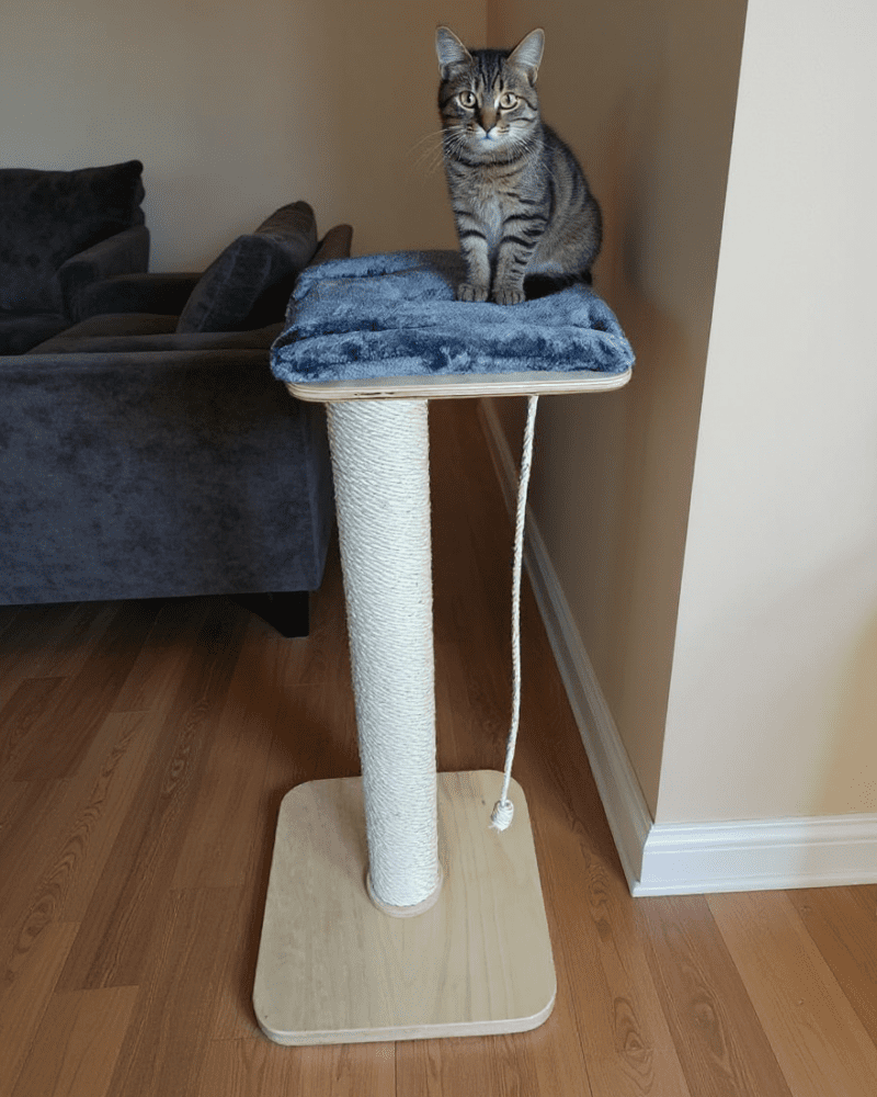 Drapak Wysoka Kolumna z Półką NR1910