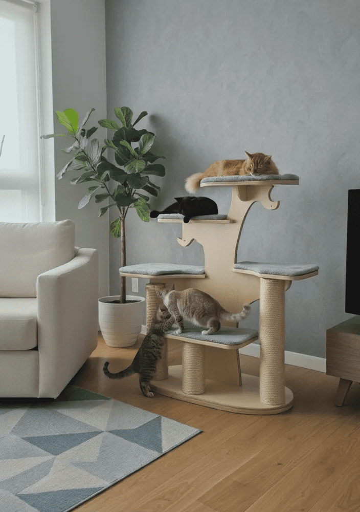 Drzewko Senior – Twierdza na Trzech Filarach NR2597