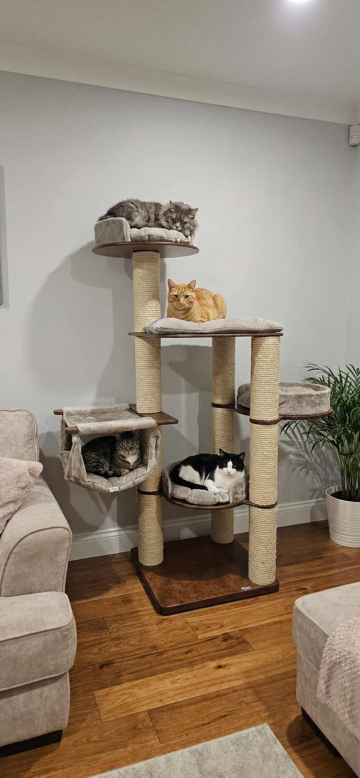 Drapak Wolnostojący 220 cm – Sky Tower NR4411 - obrazek 2