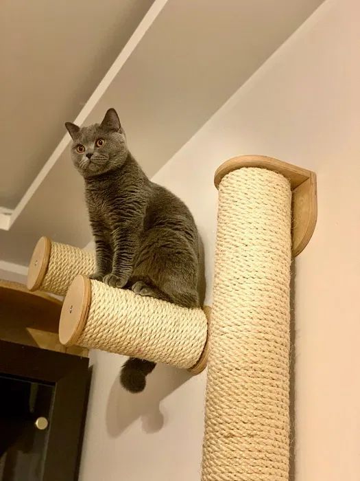 Słupek Ścienny "Wall Step 25cm – Stopień Sizalowy NR22